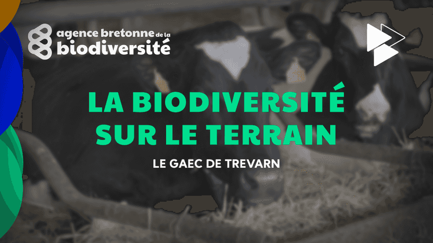 Vidéo LA BIODIVERSITÉ SUR LE TERRAIN : 