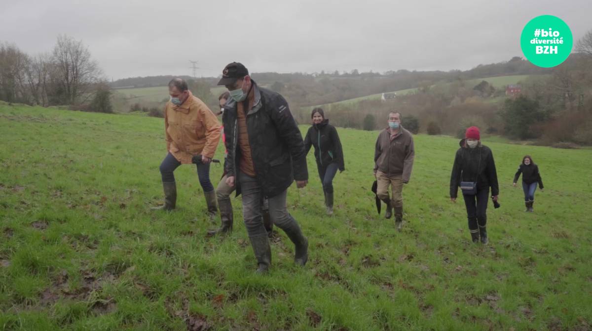 LA BIODIVERSITÉ SUR LE TERRAIN : 